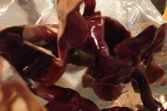 Reishi